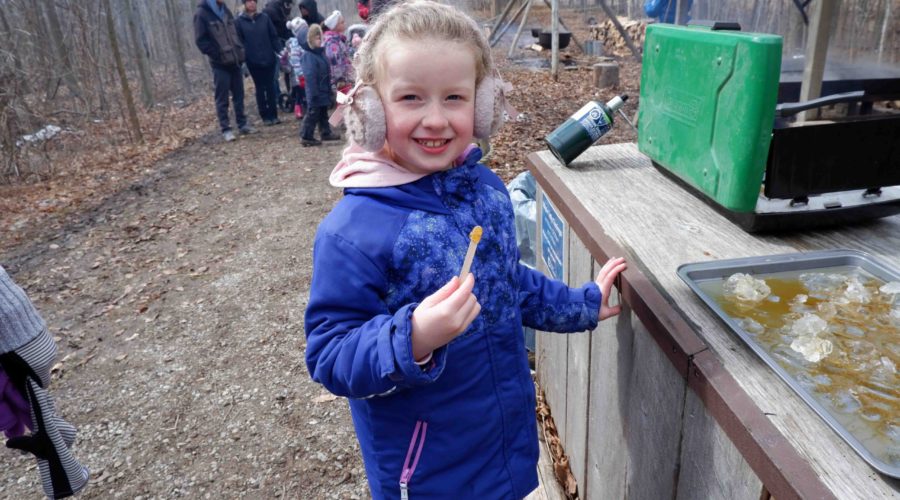 Maple Taffy testing at the SCRCA Maple Syrup Festival