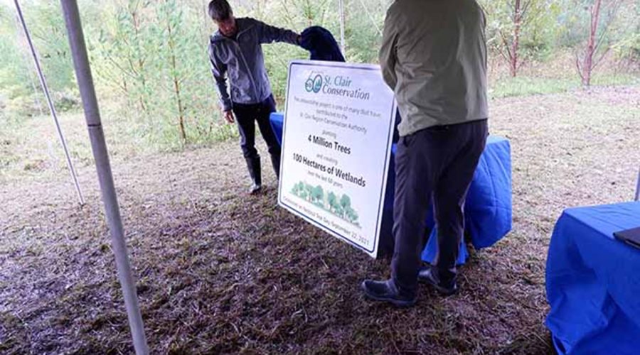 Joe Faas (right), St. Clair Region Conservation Authority Chair and Chris Beach-Wallis (left), property tenant unveil a commemorative sign acknowledging the St. Clair Region Conservation Authority's 4 million trees planted, and 100 hectares of wetland created.