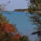 Conservation Update – November 2021