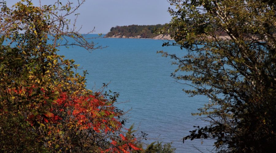 Conservation Update – November 2021