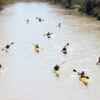Kayakers paddling down the Sydenham River