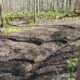Coldstream Conservation Area Trail Restoration Underway