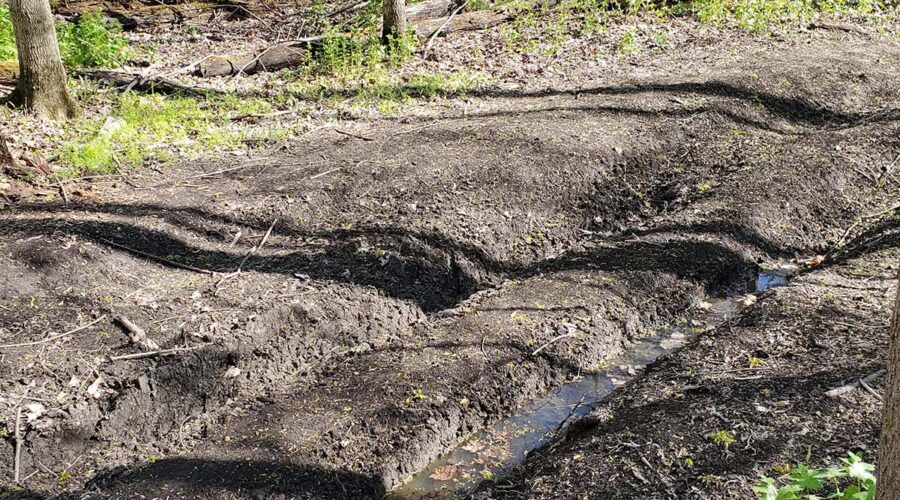 Damage and ruts along a trail at Coldstream Conservation Area