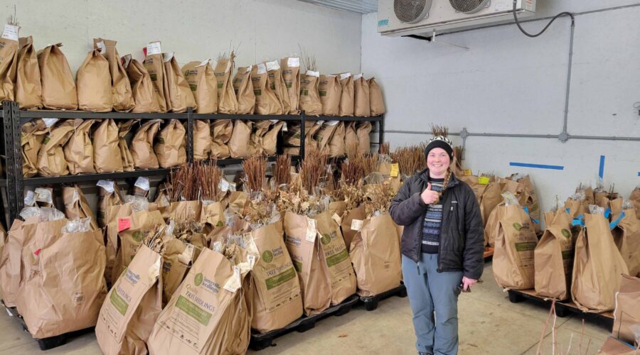 St. Clair Staff stand among tree seedlings