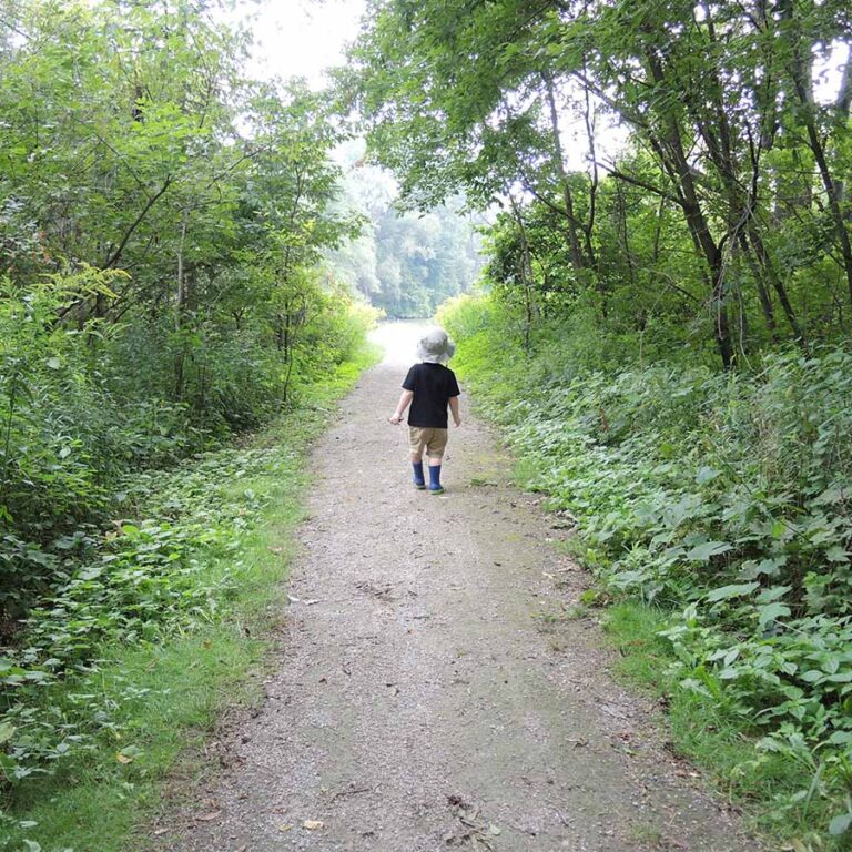 Young child walking along a forested path
