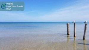 Picture of Lake Huron shoreline with seagulls sitting on wooden posts