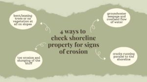 Four ovals with examples of shoreline erosion signs on brown background