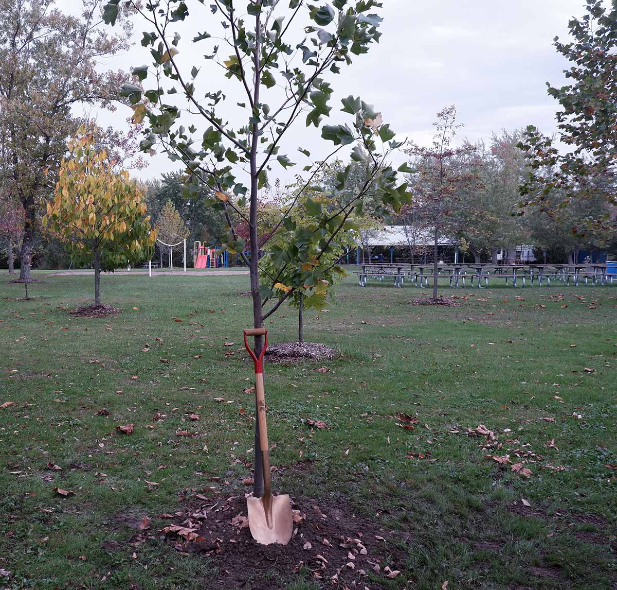 St. Clair Conservation Foundation Memorial Forest Dedication