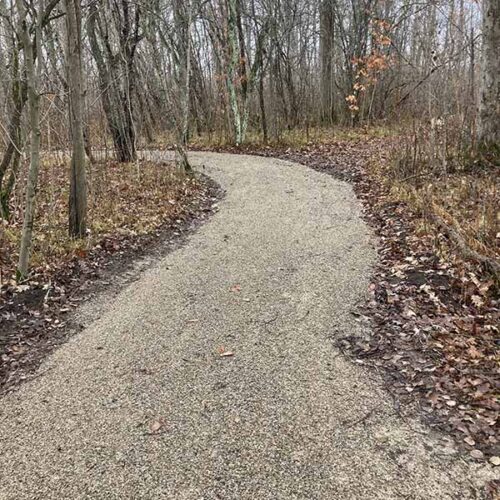 Winding trail surrounded by trees