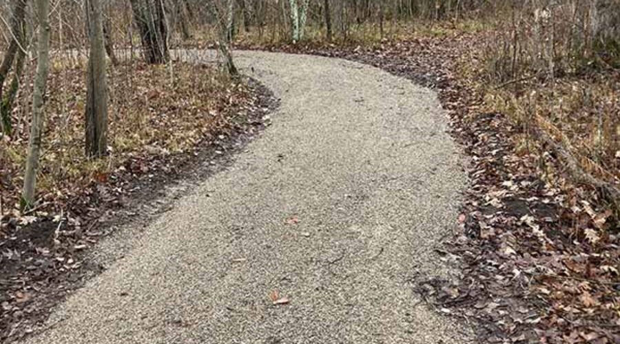 Winding trail surrounded by trees