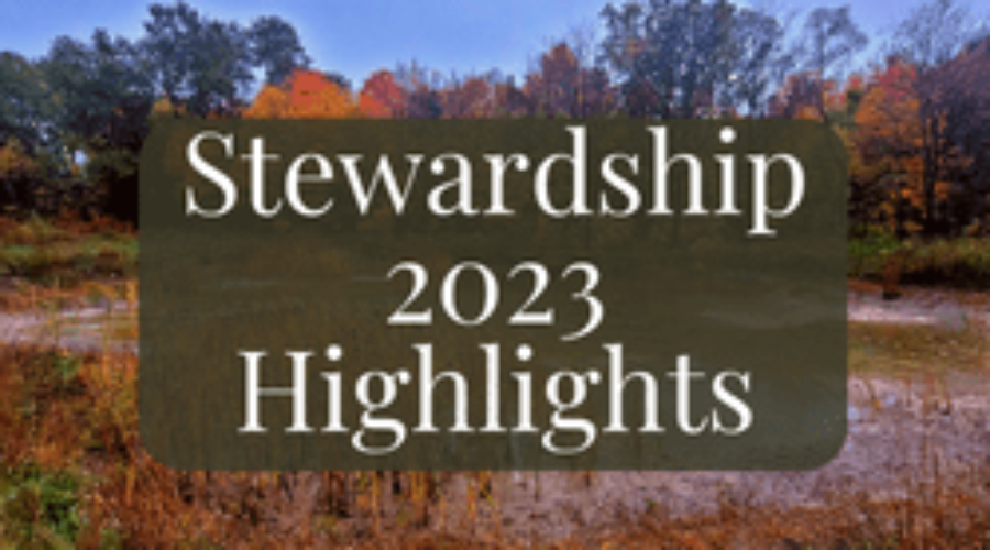 Restored wetland in the background with the words "Stewardship 2023 Highlights" overlaying the picture.