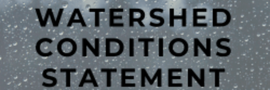 Watershed Conditions Statement banner