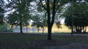 Scenic parkland shot with trees, trails, benches, and water in the background.