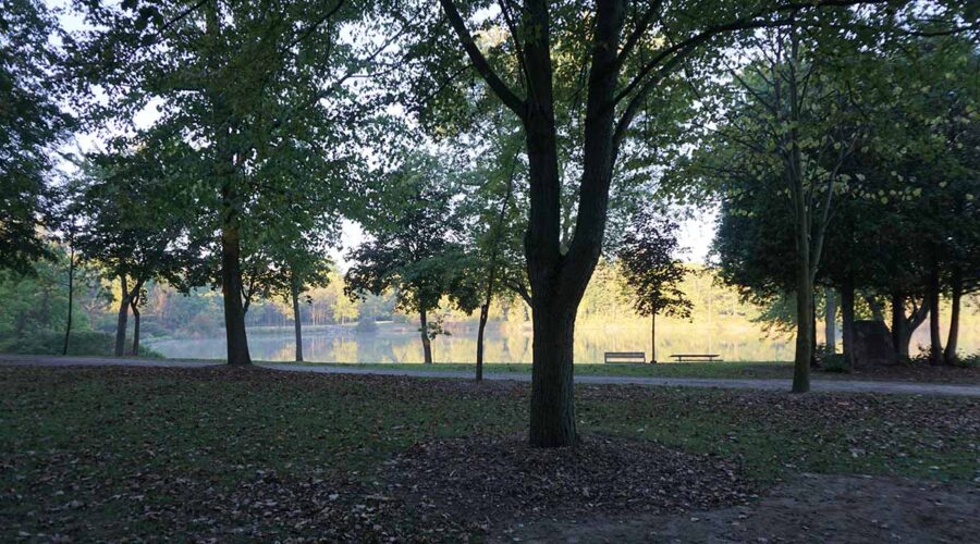 Scenic parkland shot with trees, trails, benches, and water in the background.