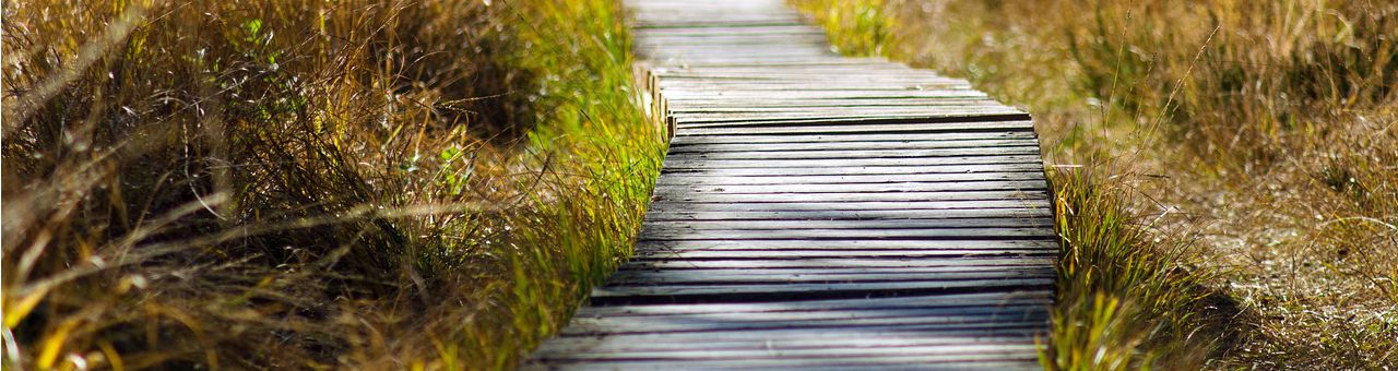 boardwalk trail