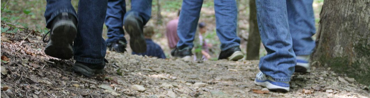 feet of people walking in a group on a forest trail