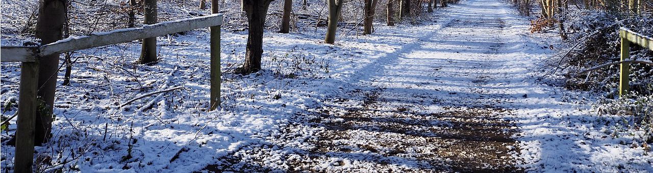 a view of a partially snow -covered trail