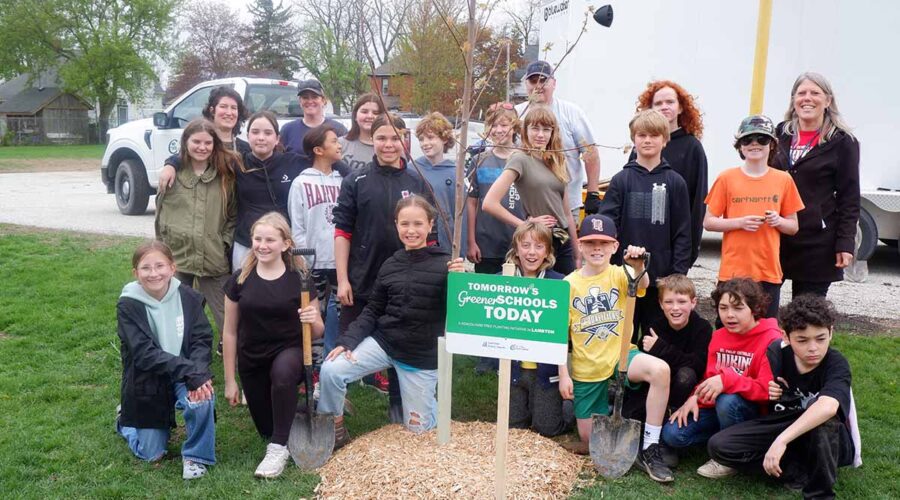 Group of students gather around a newly planted tree