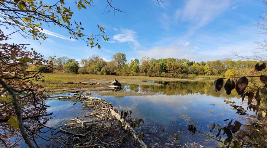 St. Clair Region Conservation Authority Issues Level I Low Water Condition