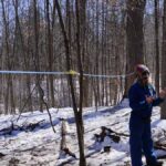 A woman standing in a forest with blue tubing attached to trees